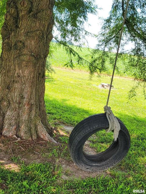 Tiny photo for 232 PALM Lane, Flora, IL 62839 (MLS # EB458767)