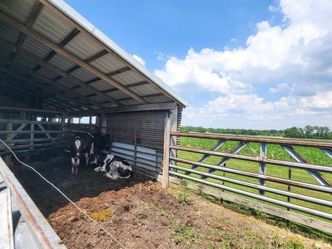 Tiny photo for 232 PALM Lane, Flora, IL 62839 (MLS # EB458767)