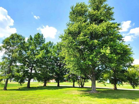 Tiny photo for 232 PALM Lane, Flora, IL 62839 (MLS # EB458767)