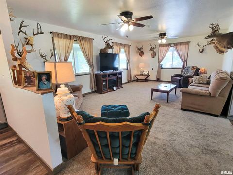 Tiny photo for 232 PALM Lane, Flora, IL 62839 (MLS # EB458767)