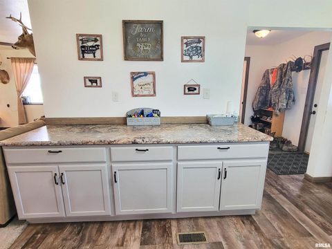 Tiny photo for 232 PALM Lane, Flora, IL 62839 (MLS # EB458767)