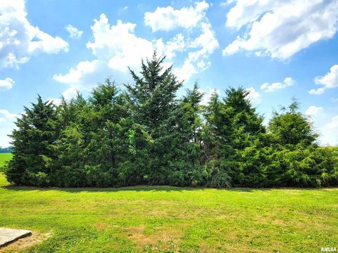 Tiny photo for 232 PALM Lane, Flora, IL 62839 (MLS # EB458767)