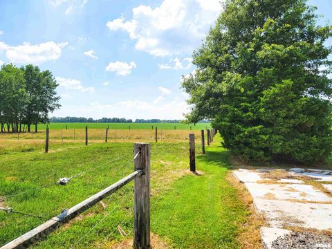 Tiny photo for 232 PALM Lane, Flora, IL 62839 (MLS # EB458767)