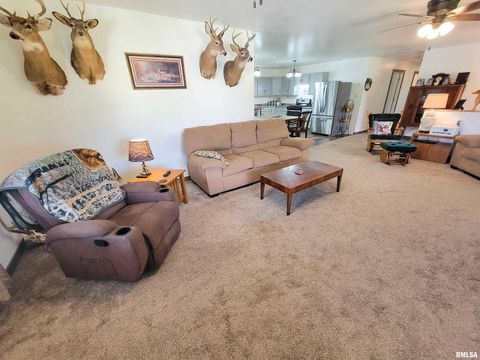 Tiny photo for 232 PALM Lane, Flora, IL 62839 (MLS # EB458767)