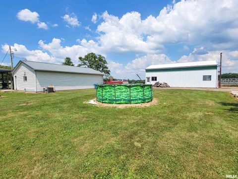 Tiny photo for 232 PALM Lane, Flora, IL 62839 (MLS # EB458767)