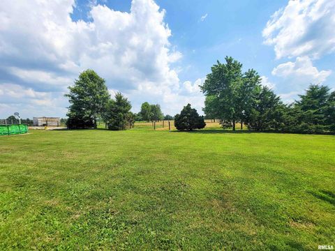 Tiny photo for 232 PALM Lane, Flora, IL 62839 (MLS # EB458767)