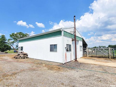 Tiny photo for 232 PALM Lane, Flora, IL 62839 (MLS # EB458767)