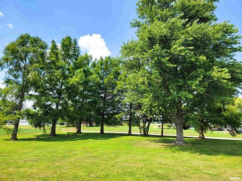 Tiny photo for 232 PALM Lane, Flora, IL 62839 (MLS # EB458767)