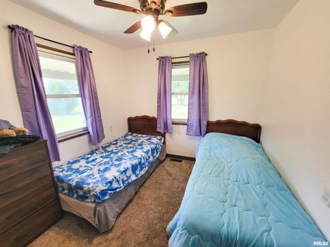 Tiny photo for 232 PALM Lane, Flora, IL 62839 (MLS # EB458767)