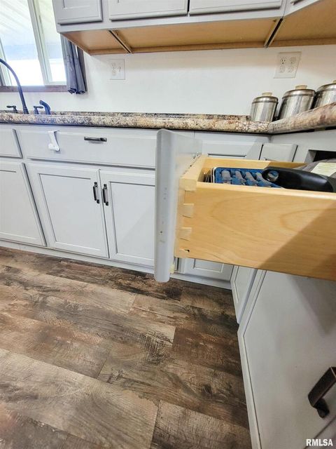 Tiny photo for 232 PALM Lane, Flora, IL 62839 (MLS # EB458767)