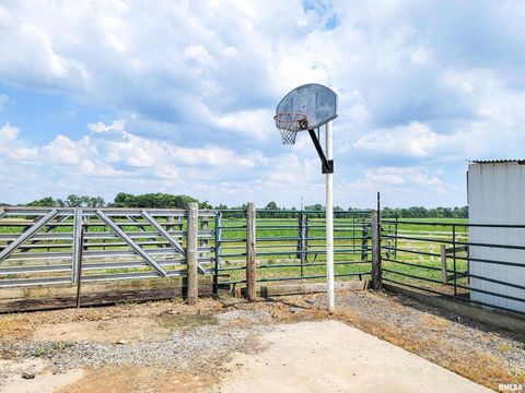 Tiny photo for 232 PALM Lane, Flora, IL 62839 (MLS # EB458767)