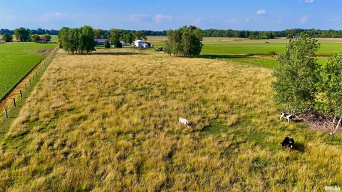 Tiny photo for 232 PALM Lane, Flora, IL 62839 (MLS # EB458767)