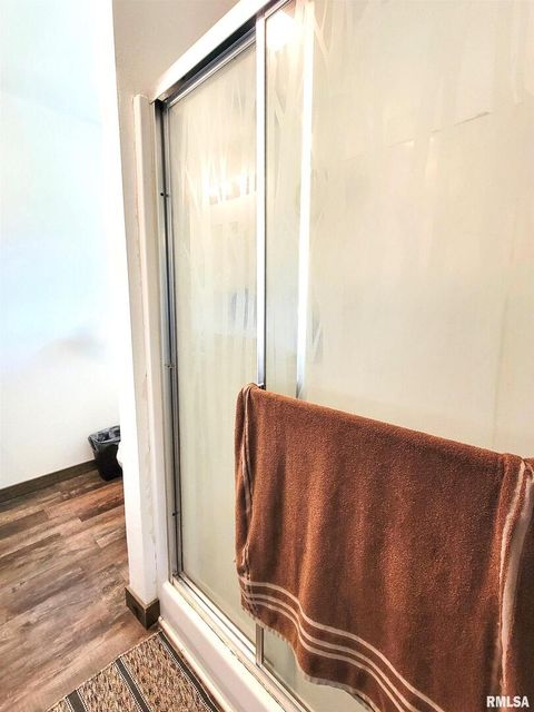 Tiny photo for 232 PALM Lane, Flora, IL 62839 (MLS # EB458767)