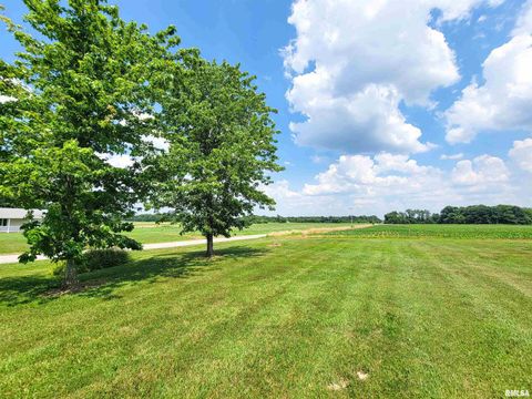 Tiny photo for 232 PALM Lane, Flora, IL 62839 (MLS # EB458767)