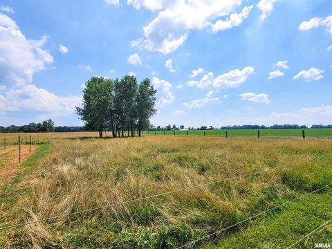 Tiny photo for 232 PALM Lane, Flora, IL 62839 (MLS # EB458767)