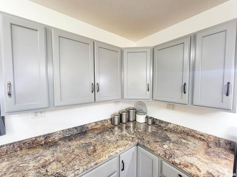 Tiny photo for 232 PALM Lane, Flora, IL 62839 (MLS # EB458767)