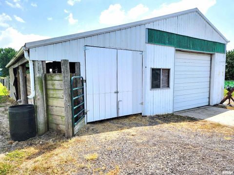 Tiny photo for 232 PALM Lane, Flora, IL 62839 (MLS # EB458767)