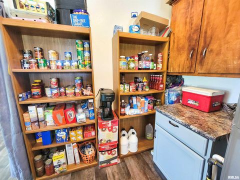 Tiny photo for 232 PALM Lane, Flora, IL 62839 (MLS # EB458767)