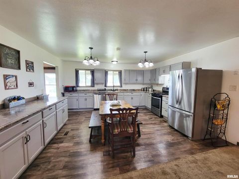 Tiny photo for 232 PALM Lane, Flora, IL 62839 (MLS # EB458767)