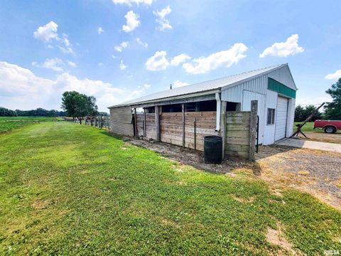 Tiny photo for 232 PALM Lane, Flora, IL 62839 (MLS # EB458767)