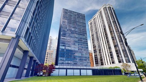 910 N LAKE SHORE Drive 2317 Chicago IL 60611
