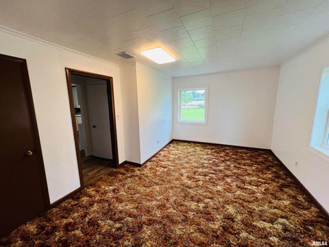 Tiny photo for 17064 Old Frankfort Road, Johnston City, IL 62951 (MLS # 12646535)