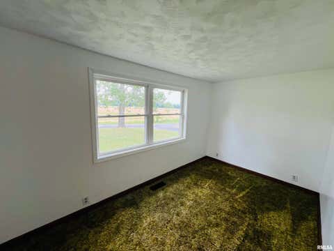 Tiny photo for 17064 Old Frankfort Road, Johnston City, IL 62951 (MLS # 12646535)
