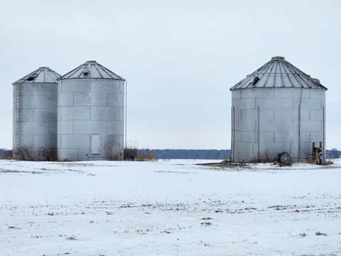 497 Timber Creek Road, Dixon, IL 61021 - #: 12529933