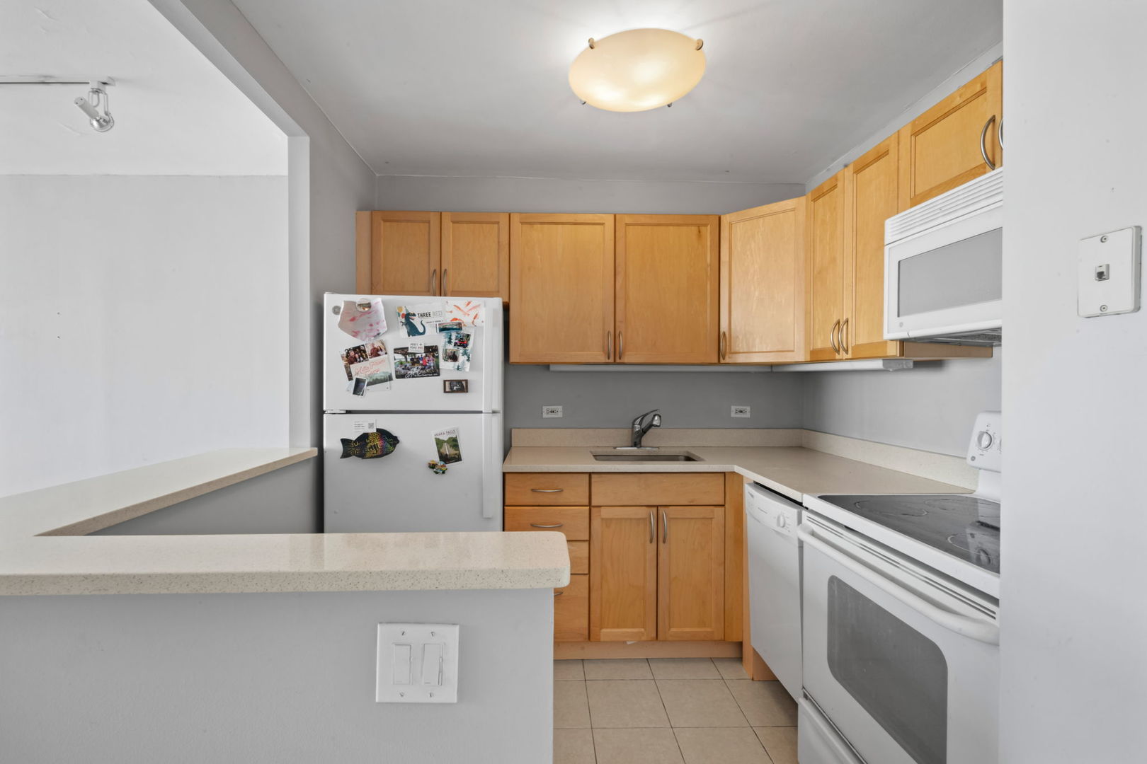 1360 N Sandburg Terrace 2704C
