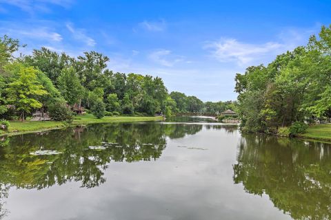 A home in Tower Lakes