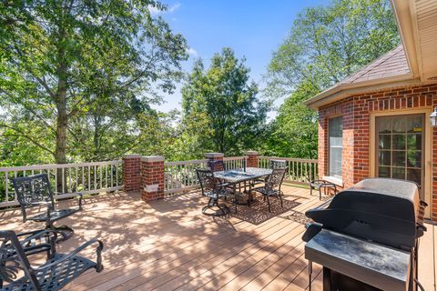 Tiny photo for 8421 W Blackthorne Way, Frankfort, IL 60423 (MLS # 12456425)