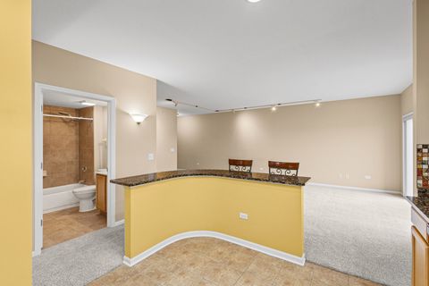 Tiny photo for Palatine, IL 60074 (MLS # 12619997)