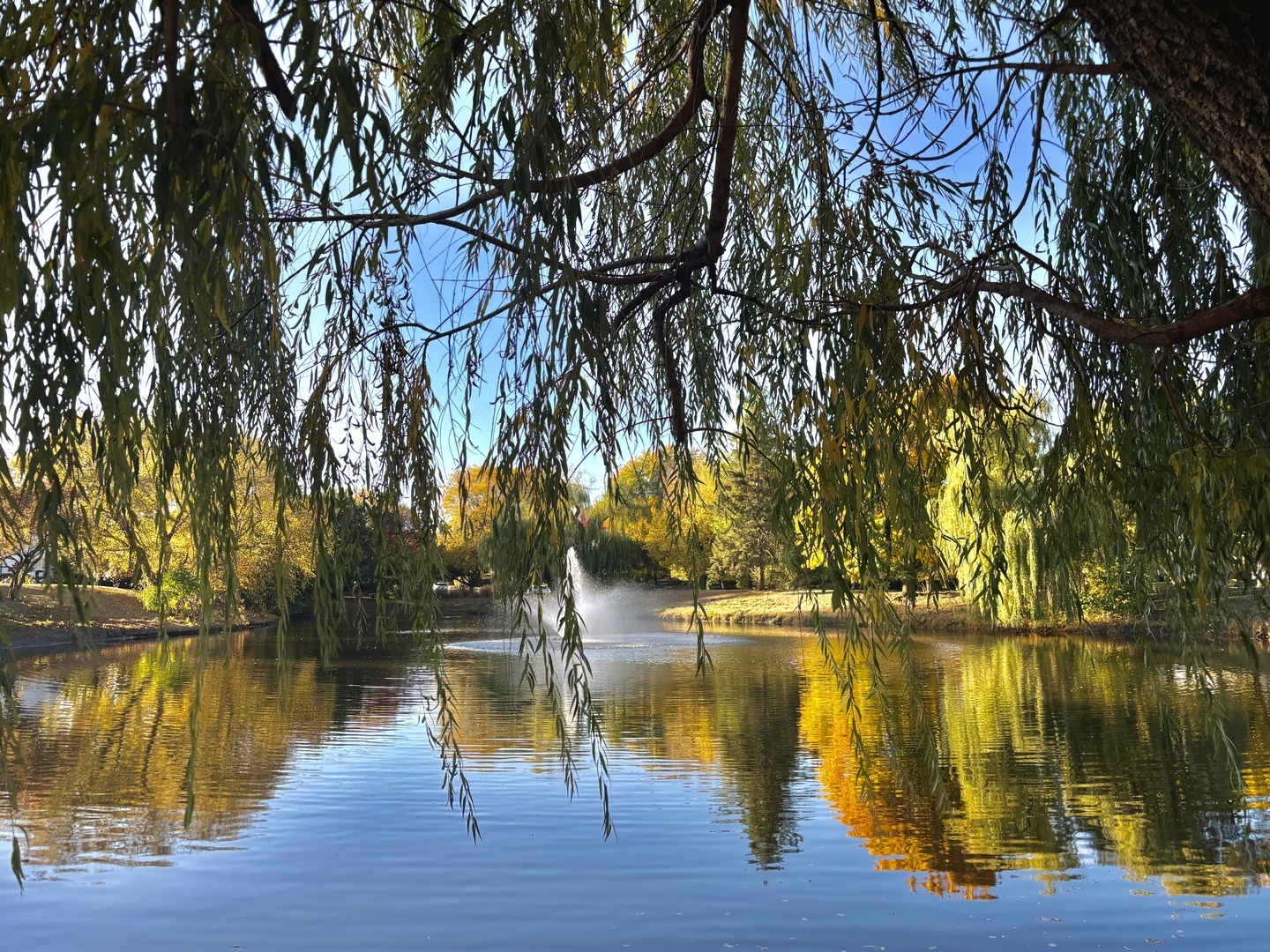 Bloomingdale, Illinois 60108, United States, 2 Bedrooms Bedrooms, ,3 BathroomsBathrooms,Residential,Active,239783