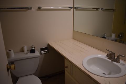 Tiny photo for Woodridge, IL 60517 (MLS # 12628523)