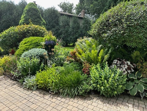 Tiny photo for 321 Forest Lane, Schaumburg, IL 60193 (MLS # 12793041)