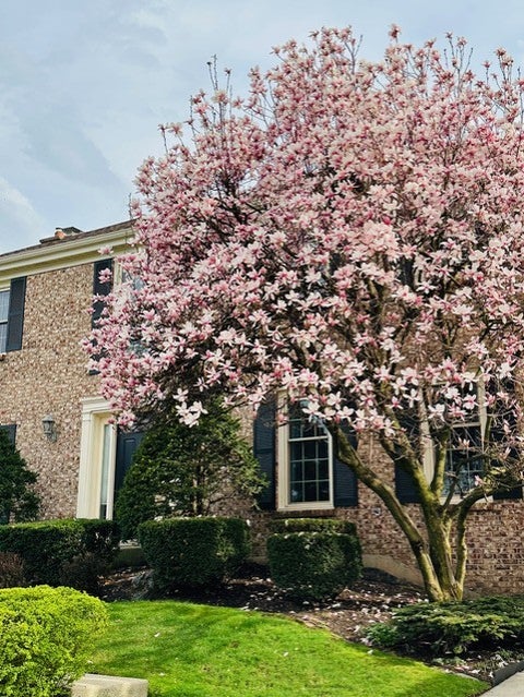 Tiny photo for 321 Forest Lane, Schaumburg, IL 60193 (MLS # 12793041)