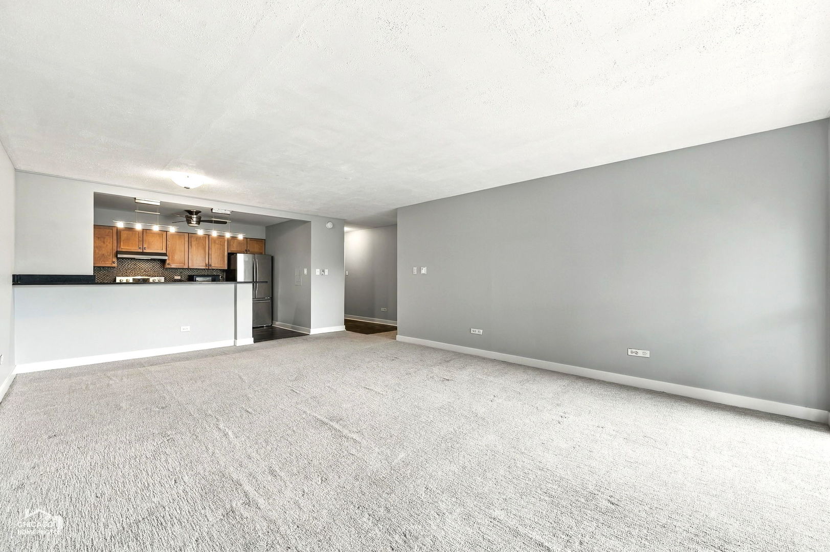 250 Ridge Avenue 4H