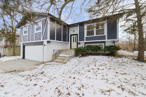 523 Nathan Road University Park IL 60484