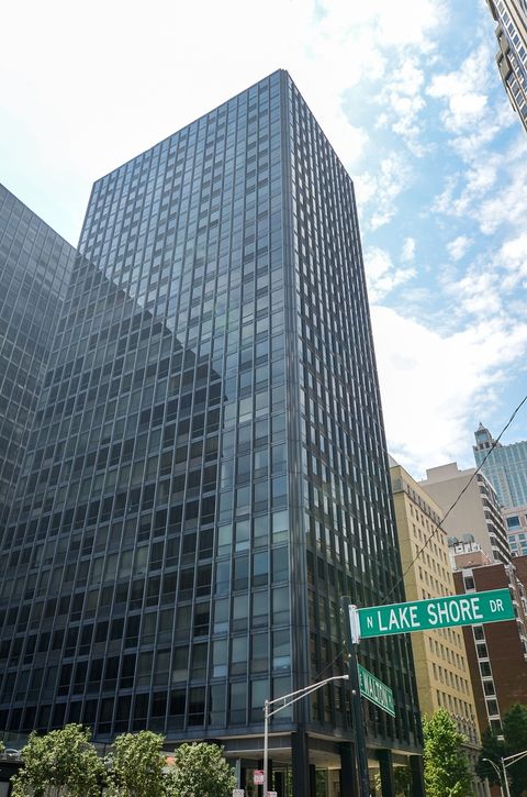 910 N Lake Shore Drive 1216 Chicago IL 60611