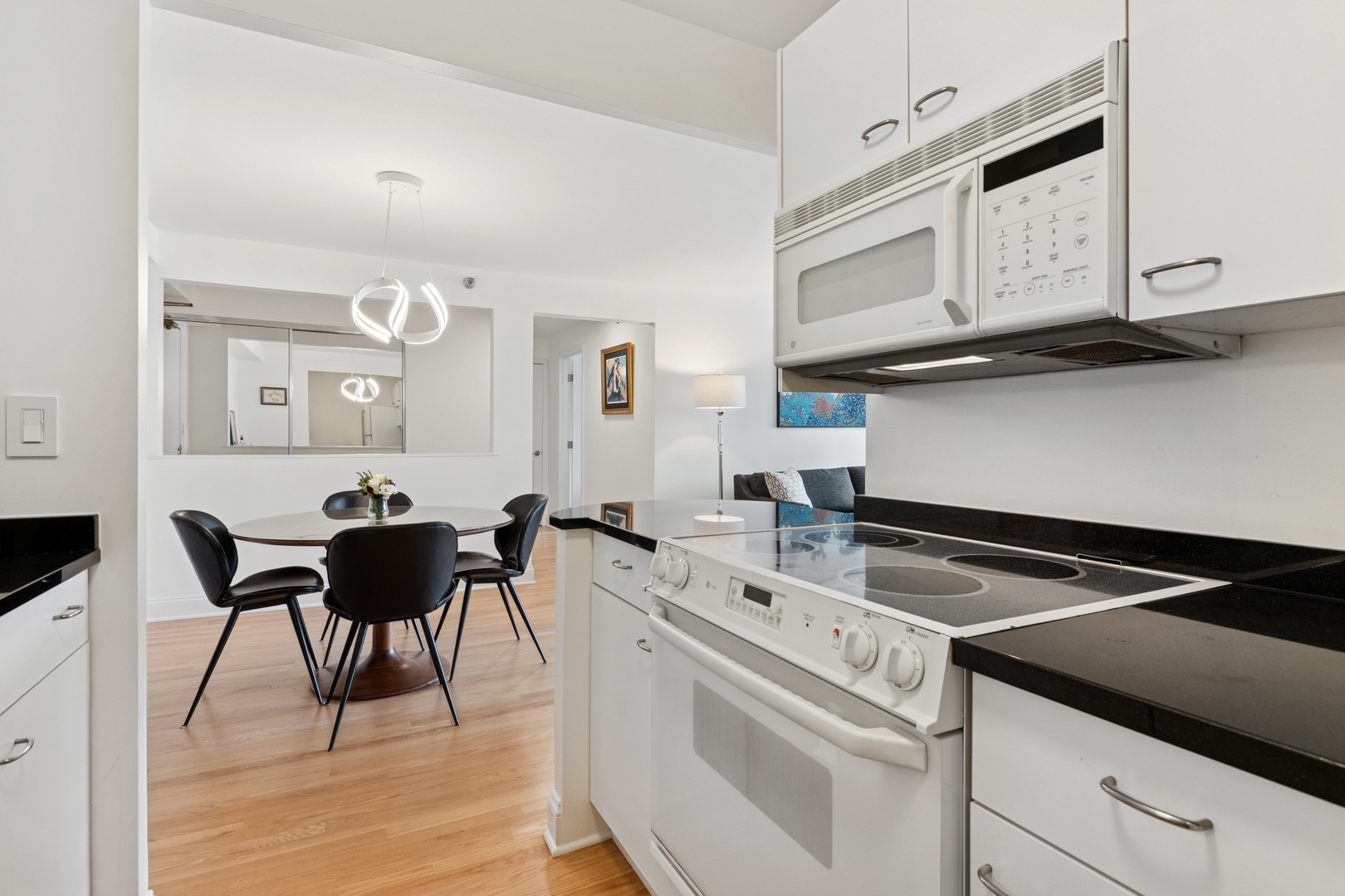 1250 N Dearborn Street 8B