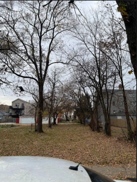 1338 S Keeler Avenue Chicago IL 60623