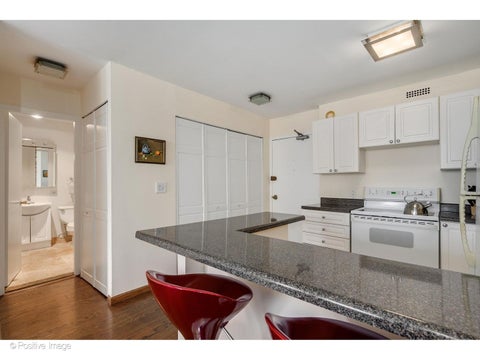 Tiny photo for 1360 N Sandburg Terrace #1106C, Chicago, IL 60610 (MLS # 12736182)