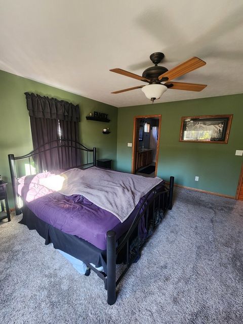 Tiny photo for 302 S Walnut Street, Colfax, IL 61728 (MLS # 12529059)