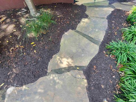 Tiny photo for 521 N LOCUST Street, Flora, IL 62839 (MLS # EB460551)