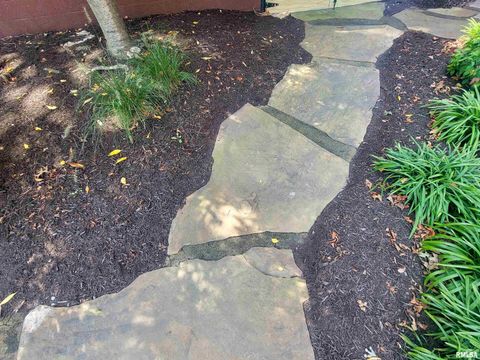 Tiny photo for 521 N LOCUST Street, Flora, IL 62839 (MLS # EB460551)