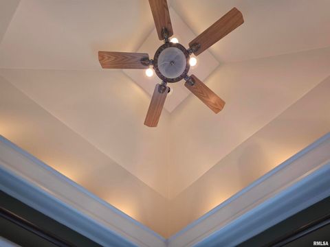 Tiny photo for 521 N LOCUST Street, Flora, IL 62839 (MLS # EB460551)