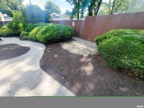 Tiny photo for 521 N LOCUST Street, Flora, IL 62839 (MLS # EB460551)