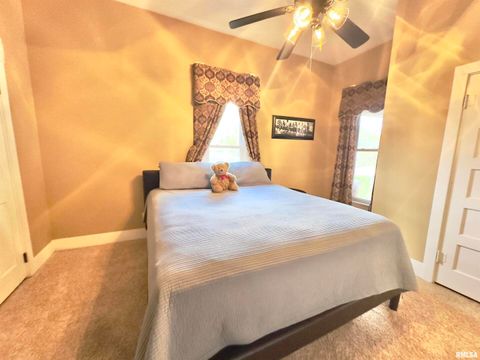 Tiny photo for 521 N LOCUST Street, Flora, IL 62839 (MLS # EB460551)