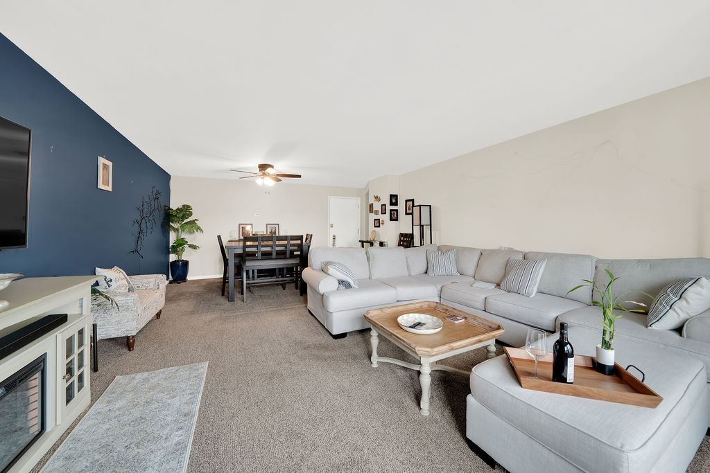 10048 S PULASKI Road 3F