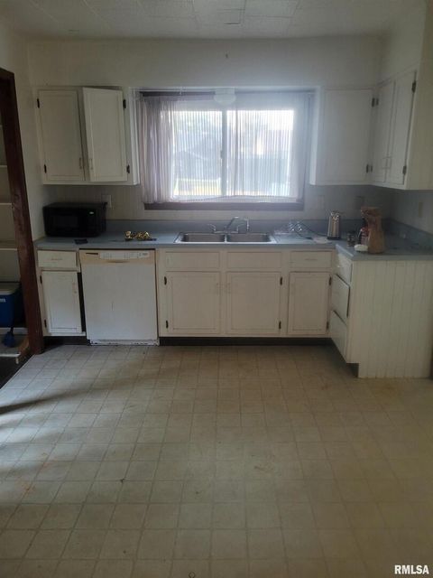 Tiny photo for 509 Lucier Street, Murphysboro, IL 62966 (MLS # EB456713)